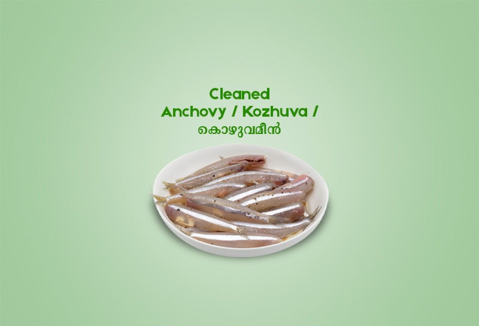 Cleaned Anchovy /  Kozhuva  /  കൊഴുവമീൻ (400gm) 